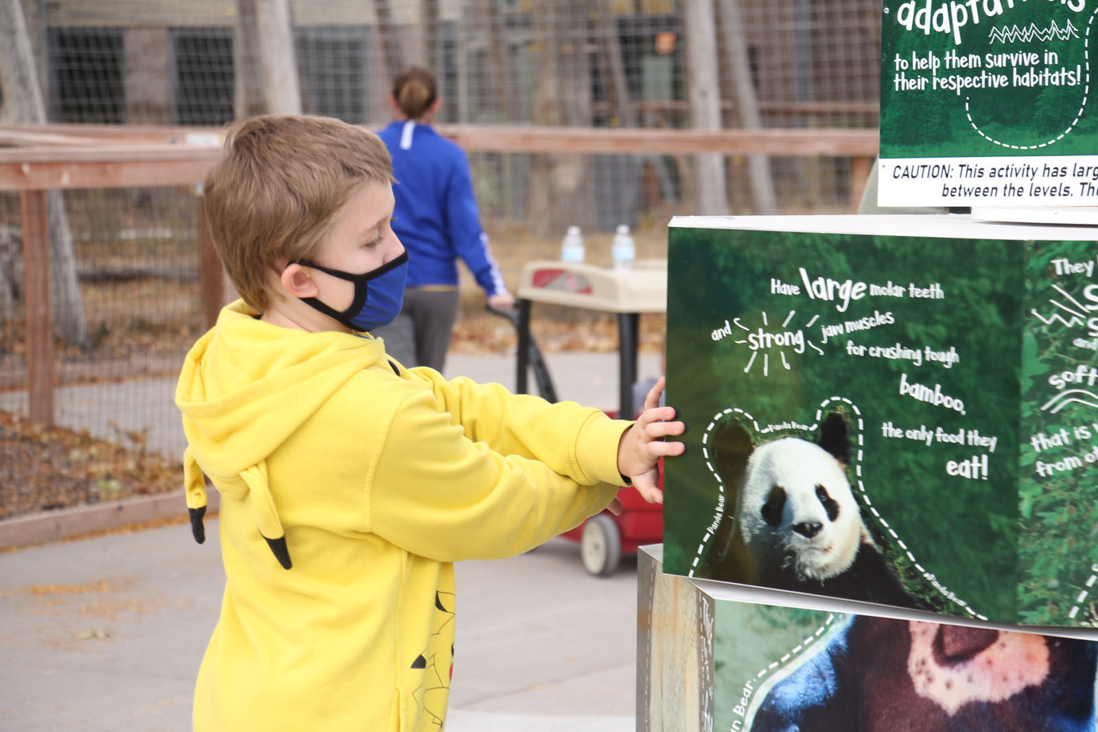 IMG_0300RDC Bear Exhibit.jpg